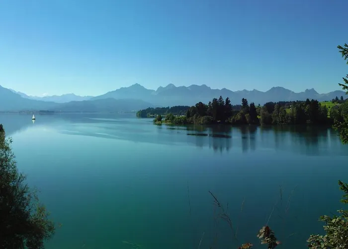 Carpe Diem Апартаменты